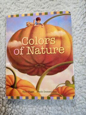 Colors of Nature Board Book Kate Riggs Paolo Domeniconi 2017 Illustrated Kids